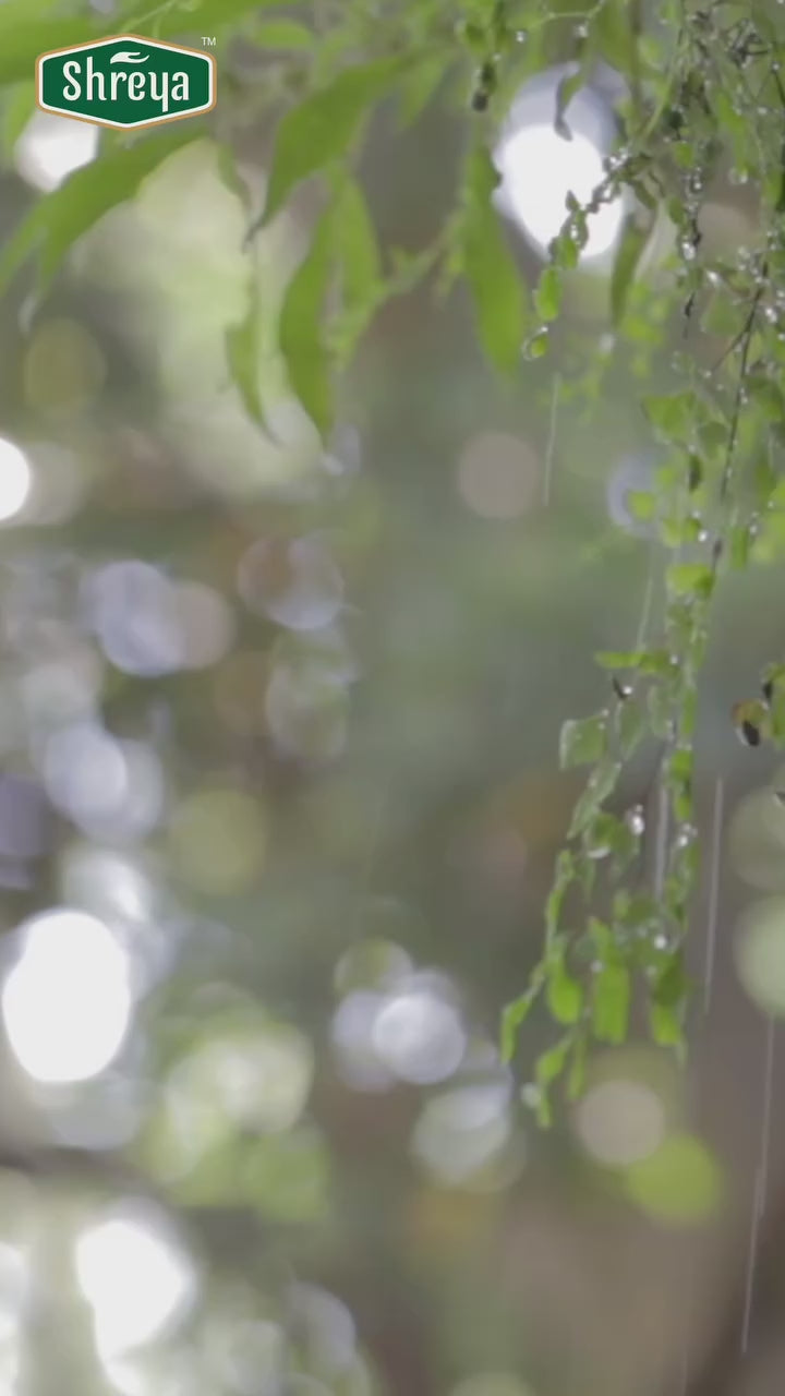 Load video: Thecha - Green Chilli Lemon Chutney